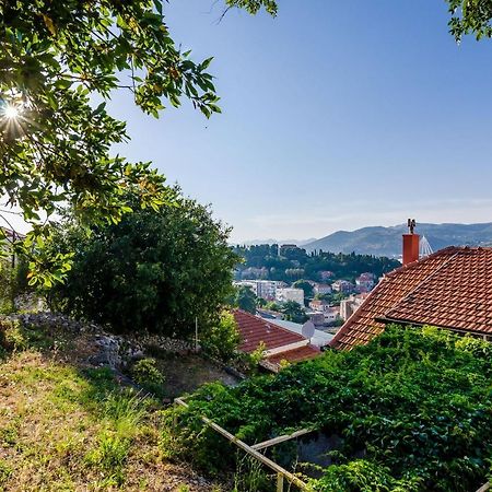 Apartment Amigo Dubrovnik Eksteriør billede