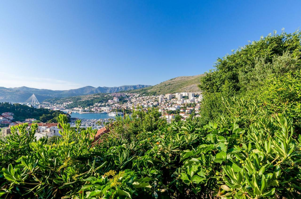 Apartment Amigo Dubrovnik Eksteriør billede