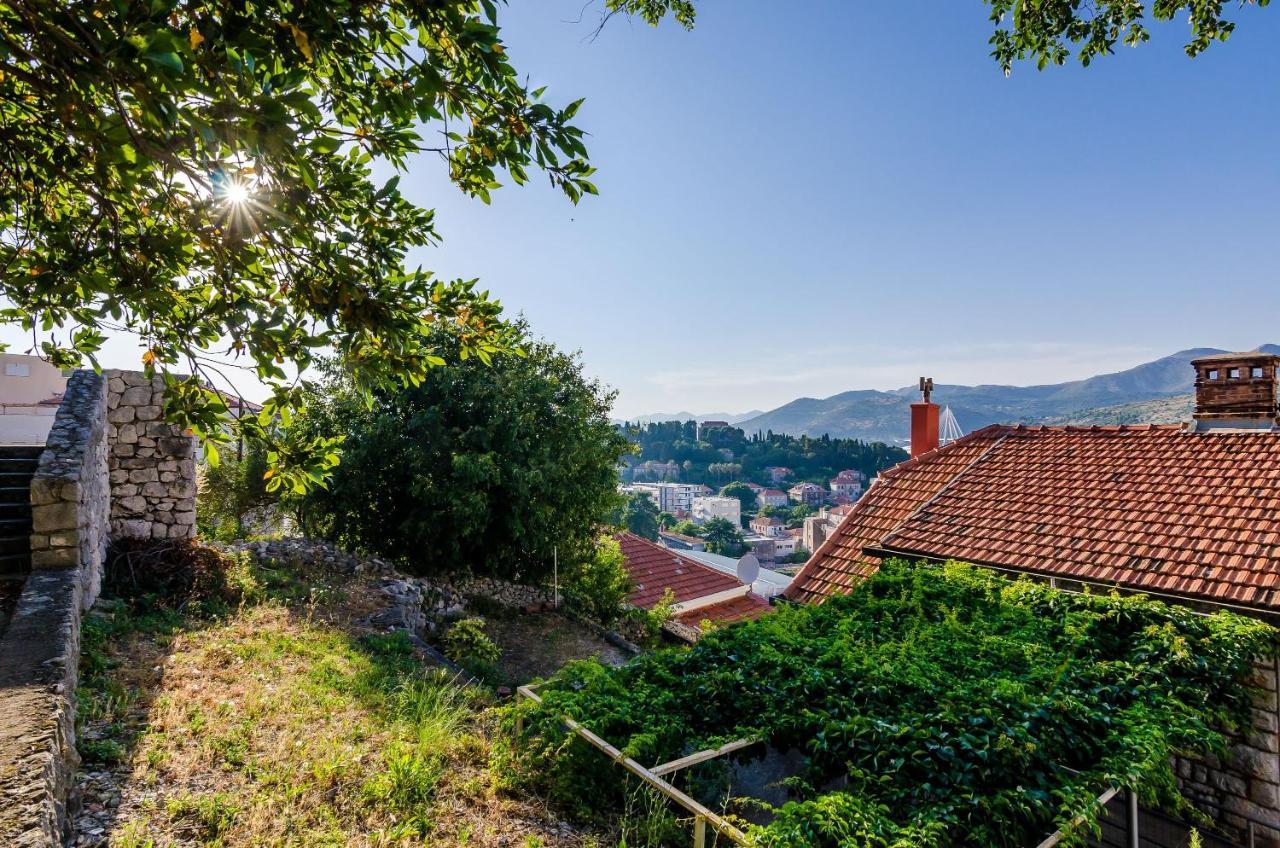 Apartment Amigo Dubrovnik Eksteriør billede
